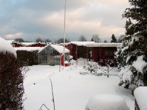Rodzonen - vinter 2006